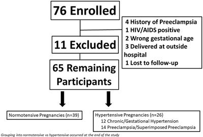 No association between perinatal mood disorders and hypertensive pregnancies